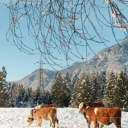 Апартаменты Eichhof Инсбрук