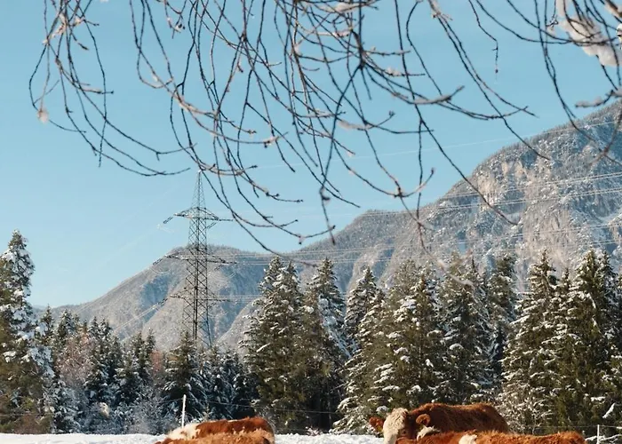 Apartment Eichhof Innsbruck